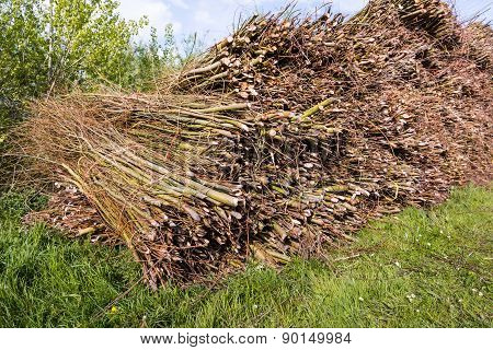 With Orange Rope Tied Osiers On A Large Heap