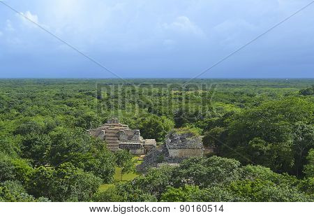 ruins in the forest