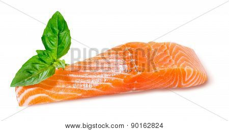 Fresh Salmon Fillet Ready To Cook. Isolated On White Background