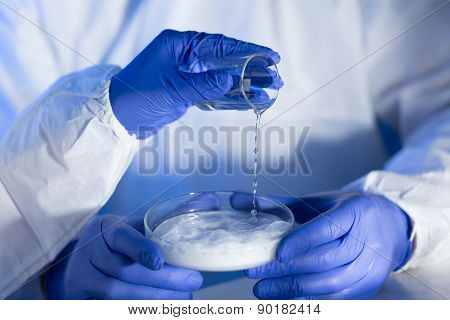 science, chemistry and people concept - close up of scientists hands with glass and chemical powder in petri dish making test or research at laboratory