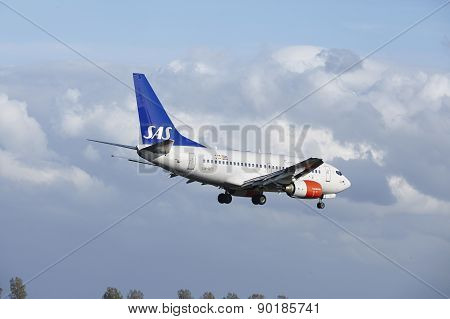 Amsterdam Airport Schiphol - Boeing 737 Of Sas (scandinavian Airlines) Lands