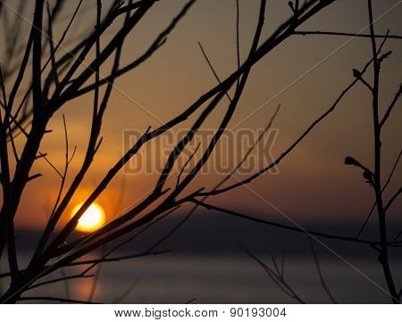 sunset on the lake