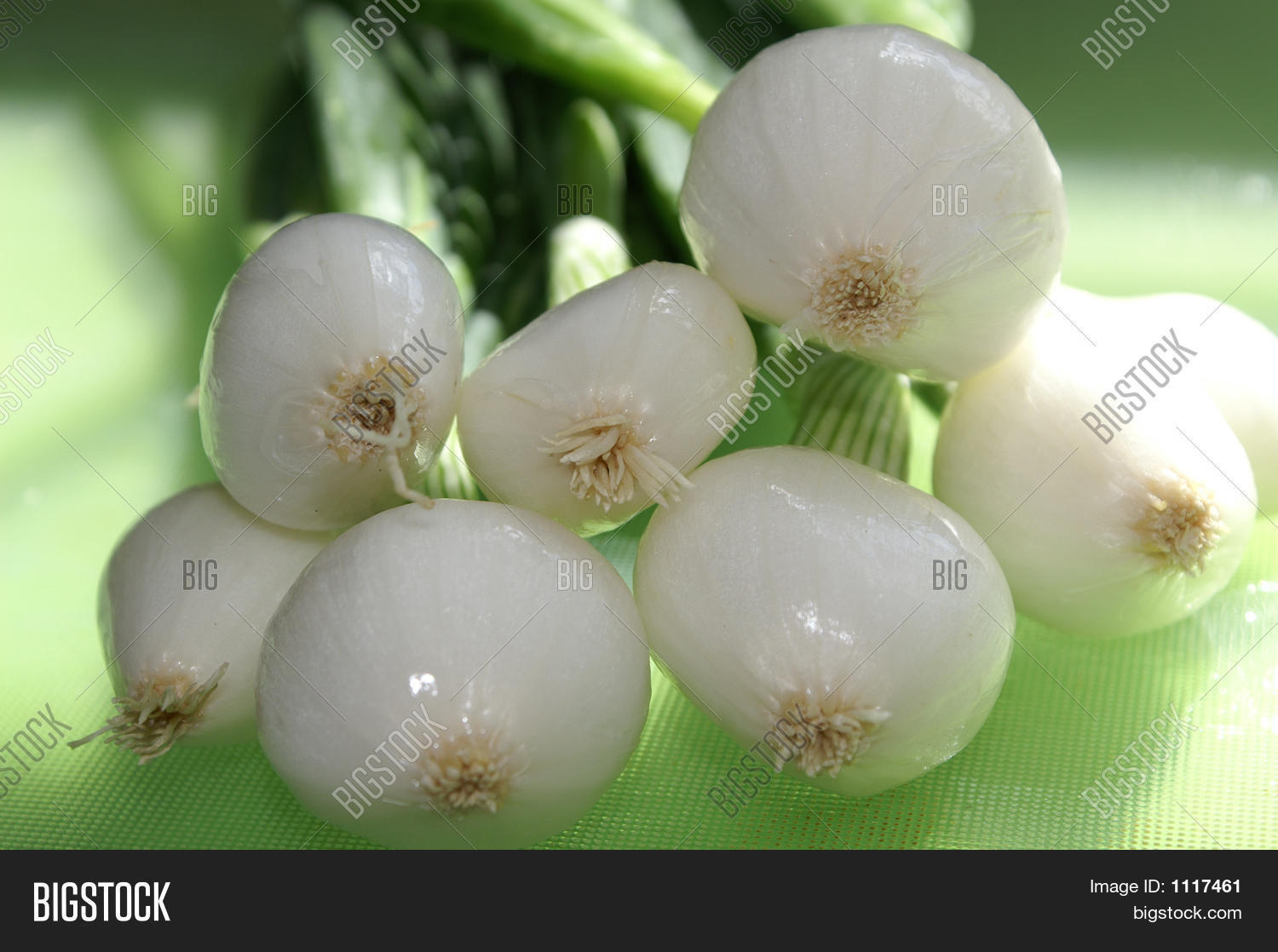 Image Preview