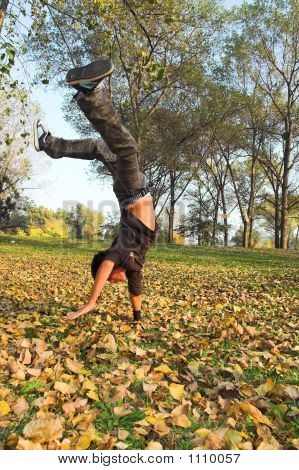 Freestyle Boy podzim