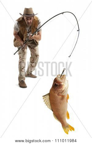 Fisherman with big fish - perch (Perca fluviatilis) isolated on white