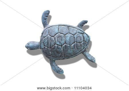jern skildpadde.