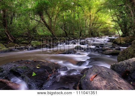 Deep forest waterfall in Thailand