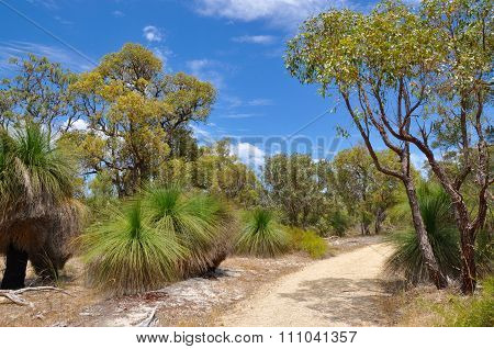 Bibra Lake Reserve: Peaceful Path