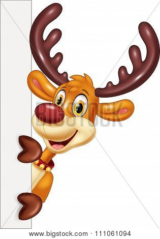Cartoon funny deer holding blank sign Isolated on white background