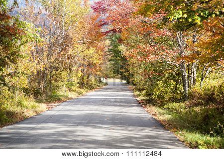 Quiet Country Lane In Fall