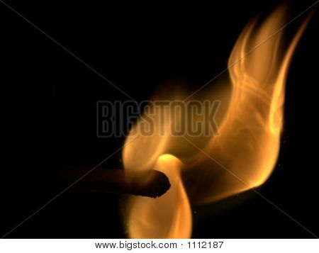 Fiamma