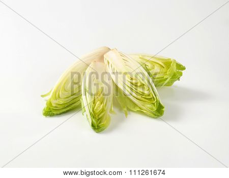 halved heads of fresh belgian endive on white background