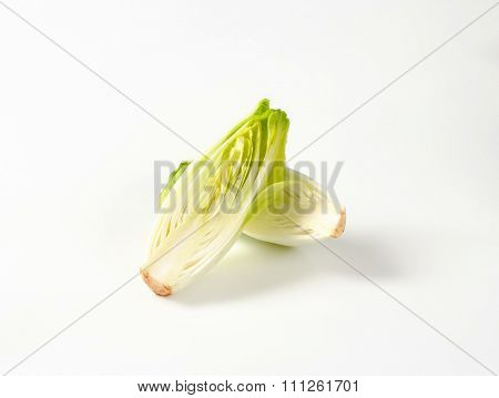 halved head of fresh belgian endive on white background