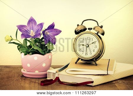 Purple Balloon Flower Or Platycodon Grandiflorus Flower In Cute Pot  ,a Vintage Alarm Clock  And Dia