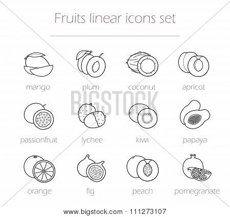 Fruits linear icons set