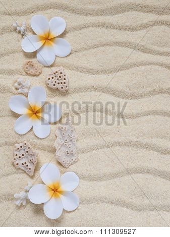 Tiare Flowers And Corals On The Sand