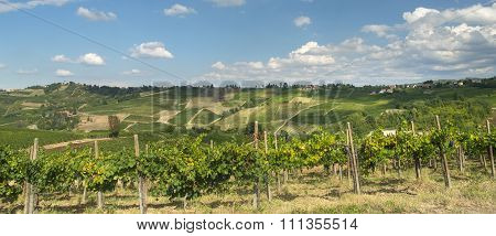 Vineyards In Oltrepo Pavese (italy)