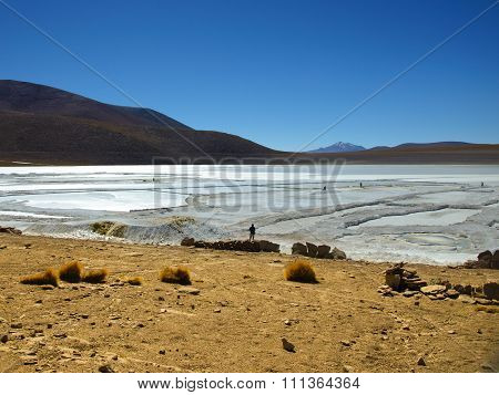 Borax mines in andean lagoon