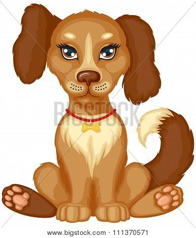 Spotted Dog