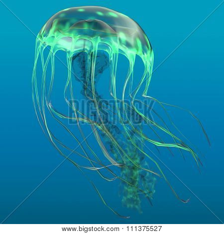 Glow Green Jellyfish