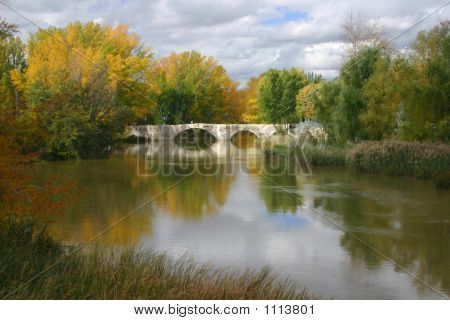 Fiume Palencia3