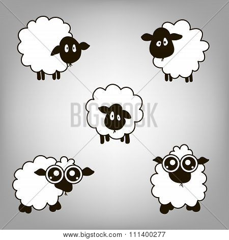 Five Lambs