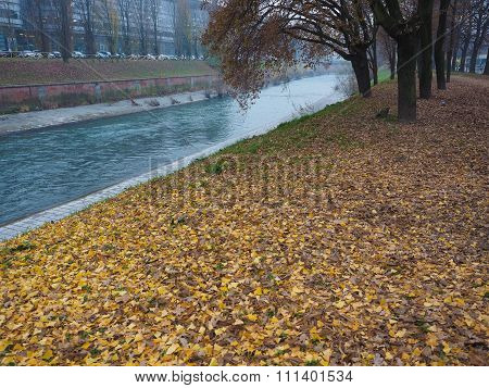 Dora River Banks