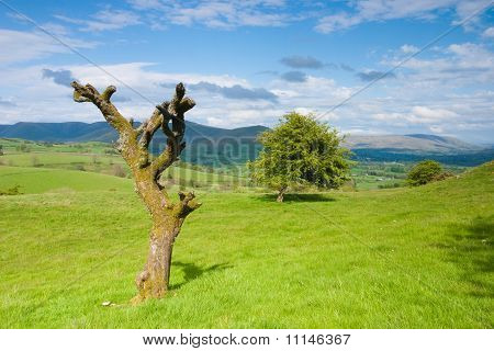 อุทยานแห่งชาติ Dales ในสหราชอาณาจักร