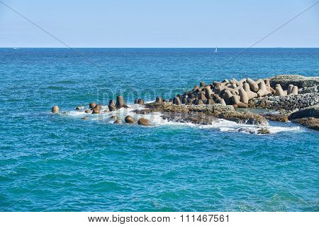 Loss Of Tetrapod