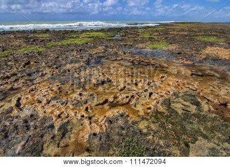 Coral Barrier Reef Exposed At Low Tide Off Brazil's Northeast Coast