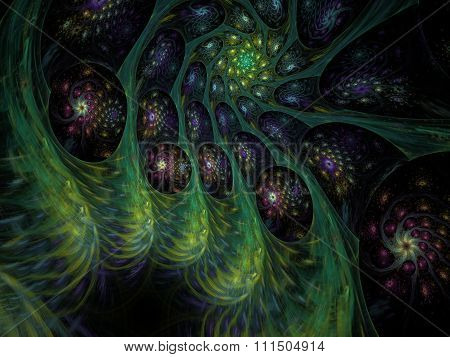 Fractal Flames