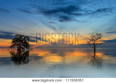 Beautiful sunrise above the sea