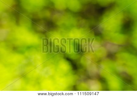 Green background