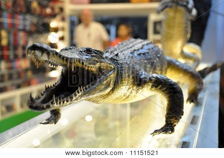 krokodil shop