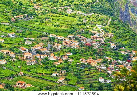 Madeira - Typical Landscape, Green Terraced Hills