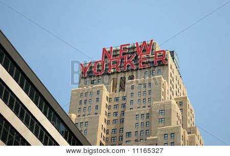 New Yorker