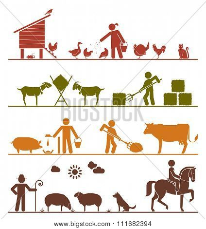 Pictogram icons presenting feeding of domestic animals on the farm. Feeding chickens and poultry, feeding goats with hay, feeding pigs and cattle, grazing sheep, riding horse. Agriculture icons.