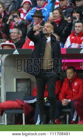 MUNICH, GERMANY - DECEMBER 12 2015: Josep Guardiola manager of Bayern Munich during the Bundesliga match between Bayern Muenchen and FC Ingolstadt, on December 12, 2015 in Munich, Germany. 