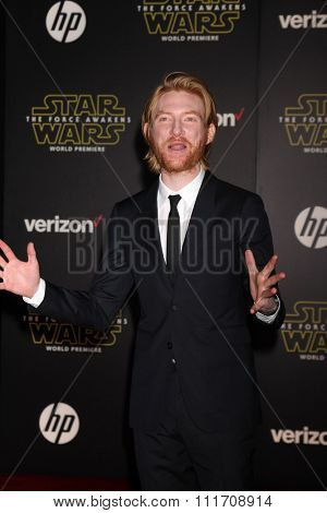 LOS ANGELES - DEC 14:  Domhnall Gleeson at the Star Wars: The Force Awakens World Premiere at the Hollywood & Highland on December 14, 2015 in Los Angeles, CA