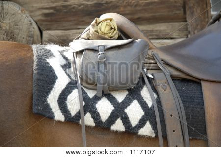 Gear