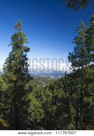 Gran Canaria, Las Cumbres
