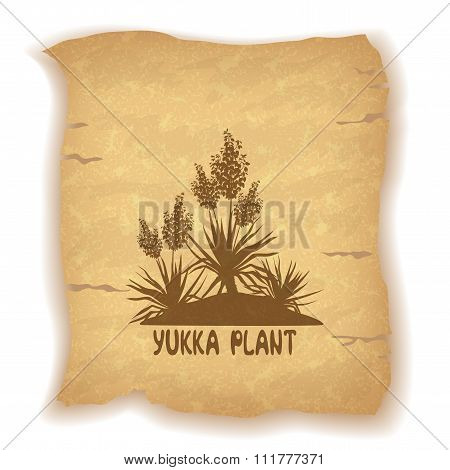 Plant Yucca Silhouettes on Old Paper