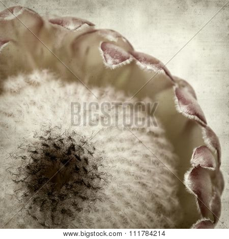 Textured Old Paper Background