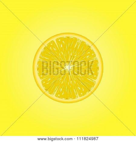 Vector illustration of  lemon slice.