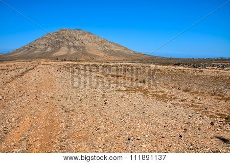 Countryside Desert Dirt Path