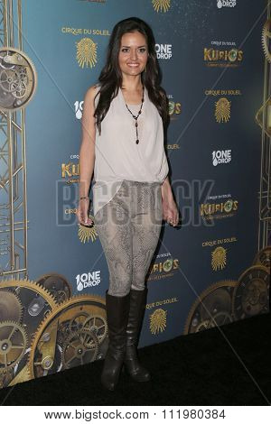 LOS ANGELES - DEC 09:  Danica McKellar at the Cirque Du Soleil's 