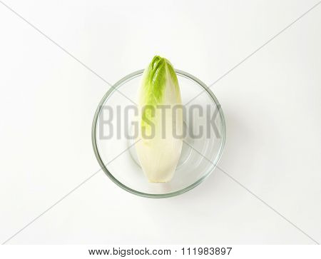 head of fresh belgian endive in glass bowl