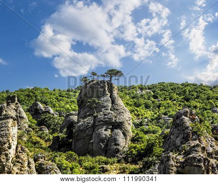Bizarre Rock Formations On The Plateau Demerdzhi In Crimea .