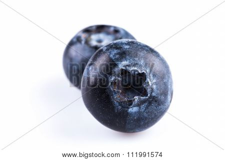 Blueberries On White Background
