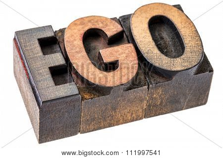 ego word in vintage wood letterpress printing blocks, stained by color inks, isolated on white - oversized ego concept